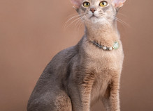 VEqHwdTMbMrUEcdHeI-iF4KIa1nufUp0XypDhrHf88iRSA643KT7GhqRh_UQb0UWMwEdpD37p6fR-TsgbixuOefs.jpg