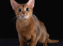 btjR486jmwriapVcwUq9Ox_E38XlGCC0BGvZwT9YjpVfxyfYYlMvdsViktCH8FpEN7W0RC2LSkyC14xYYVE3DII4.jpg