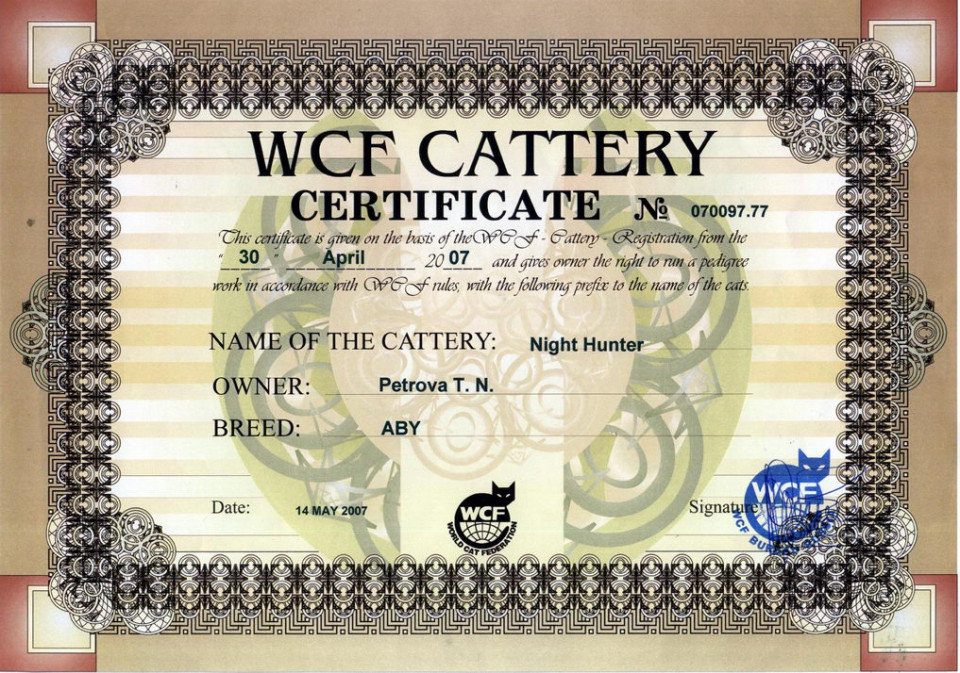 Добро пожаловать в NIGHT HUNTER!